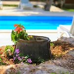 Apartament Dundar - *