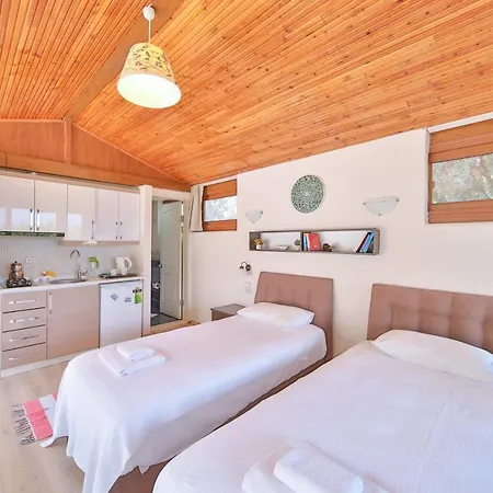 Apartment Dundar - *