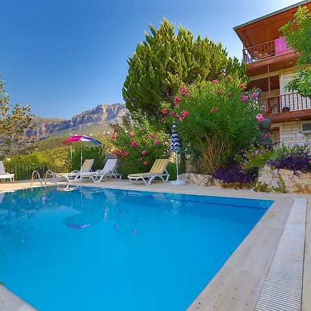 Apartment Dundar -